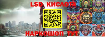 шишки Кимры