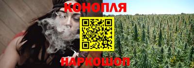 jwh Кингисепп
