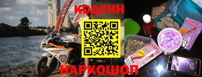 jwh Кингисепп