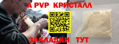 jwh Кингисепп