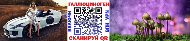 Галлюциногенные грибы Psilocybe Качканар