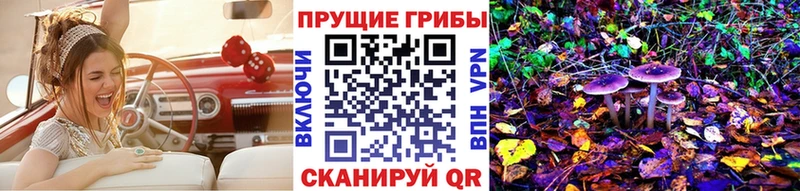 Псилоцибиновые грибы GOLDEN TEACHER  Качканар 