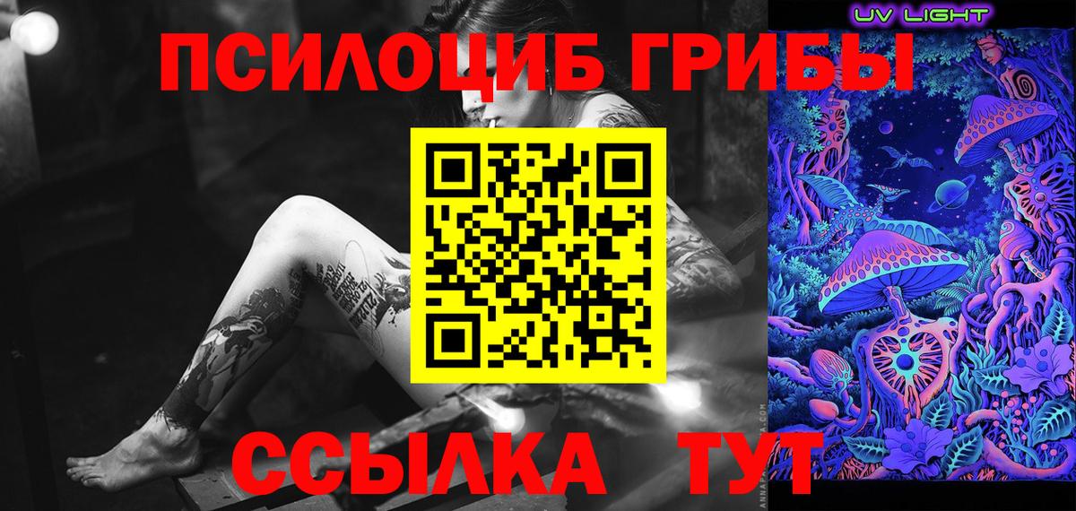 Качканар  Псилоцибиновые грибы Psilocybe  Вход с VPN 
